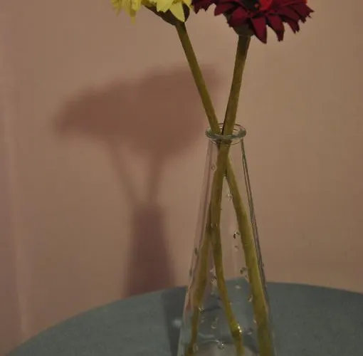 Country house Casa Rural Cancias *